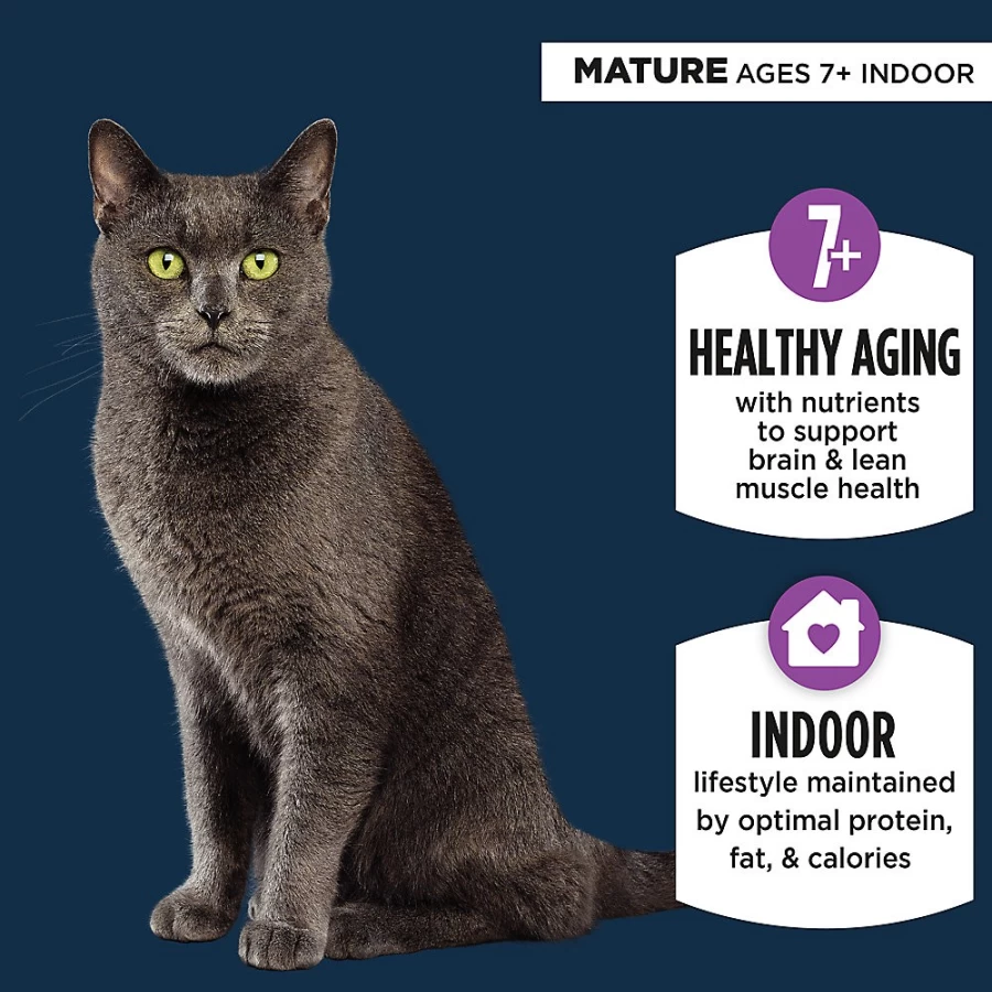 PetSmart Authority Everyday Health Indoor Senior Cat Dry Food - Chicken & Rice Recipe, With Grains for Adult Cats