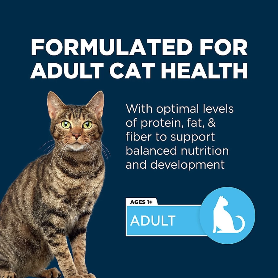 PetSmart Authority Everyday Health Adult Dry Cat Food with Chicken & Rice - Premium With-Grain Recipe for Optimal Feline Nutrition