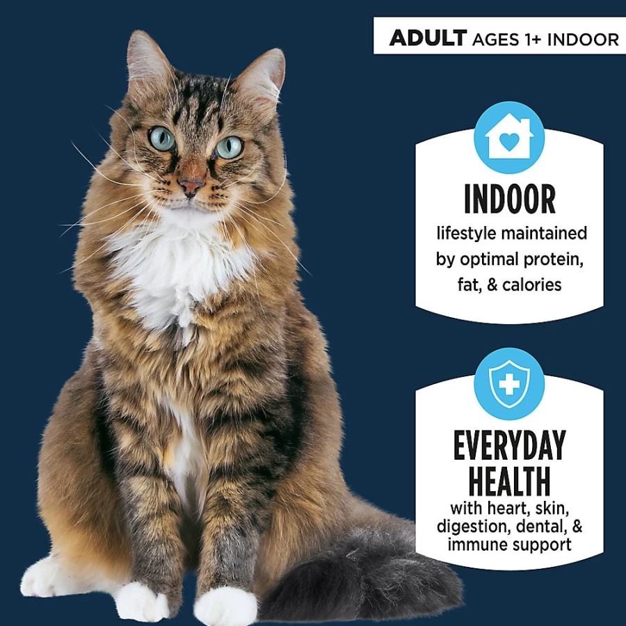 PetSmart Authority Everyday Health Indoor Cat Dry Food - Salmon & Rice Recipe, With-Grain Formula for Adult Cats