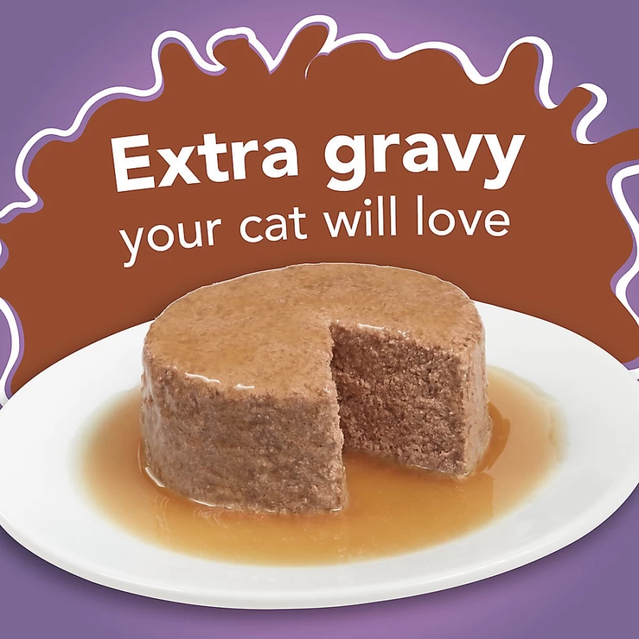 Purina Friskies Extra Gravy Wet Cat Food for Adults, 6.04 oz Can - Savory Meat Flavors | PetSmart