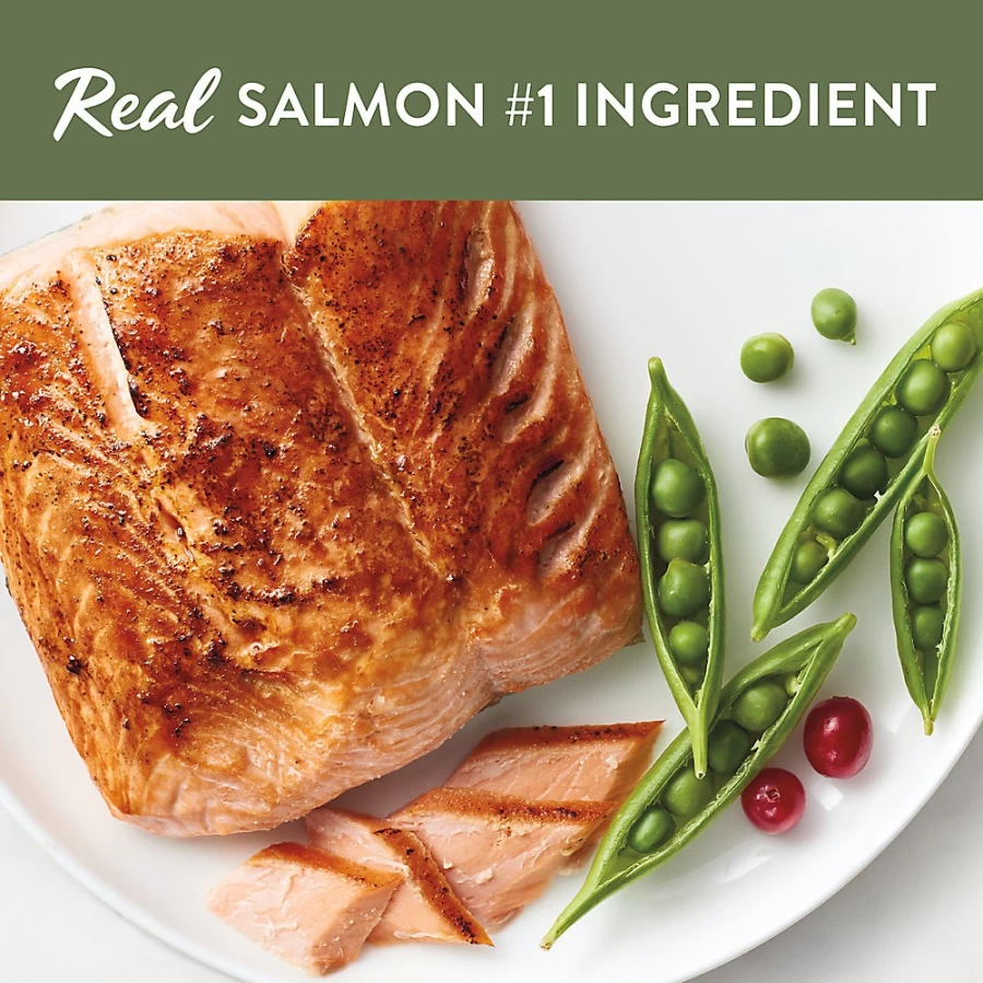 PetSmart Simply Nourish Grain-Free Natural Dry Cat Food with Salmon & Peas - Original Recipe