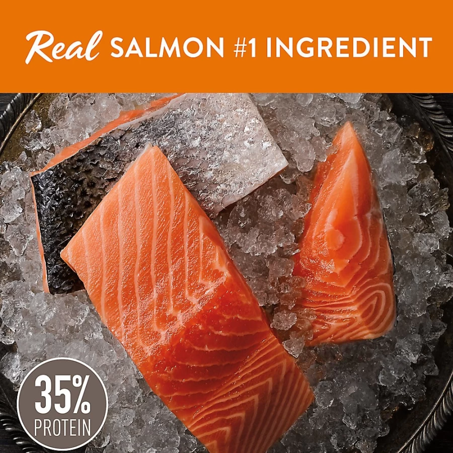 PetSmart Simply Nourish Grain-Free Salmon High-Protein Indoor Cat Dry Food Natural Recipe