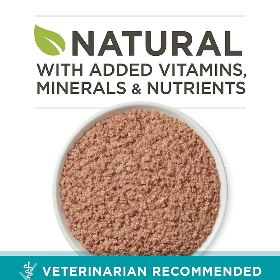Purina ONE Grain-Free Kitten Wet Food for Healthy Growth - 3.33 oz Can, Corn & Grain Free | PetSmart