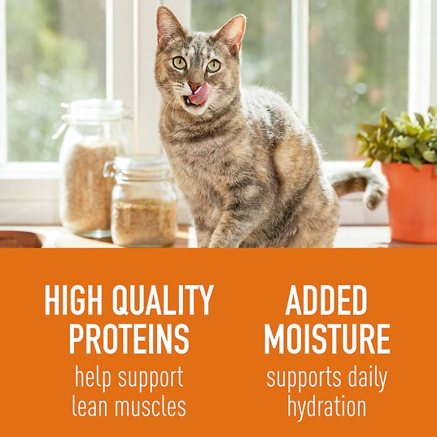 Catfoodes