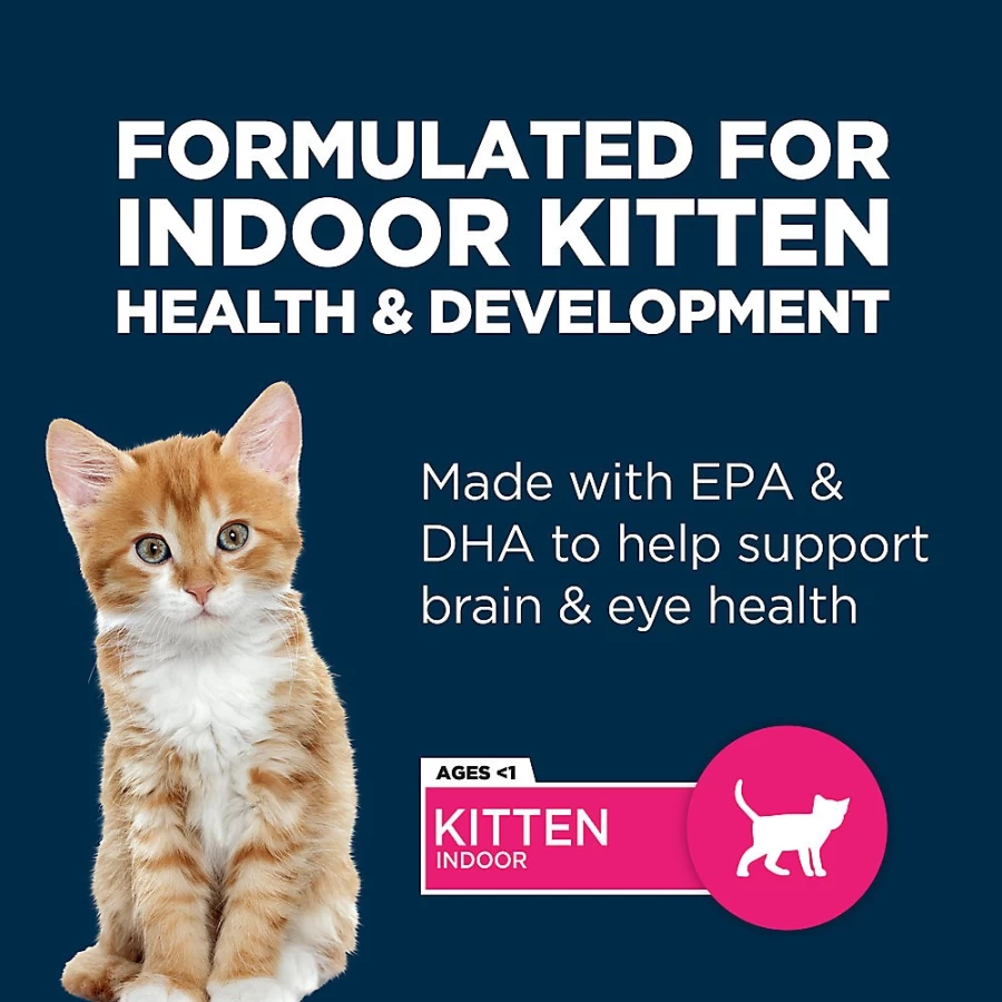PetSmart Authority Everyday Health Indoor Kitten Wet Food - 3 Oz Pate, With-Grain, High-Protein Cat Food for Kittens
