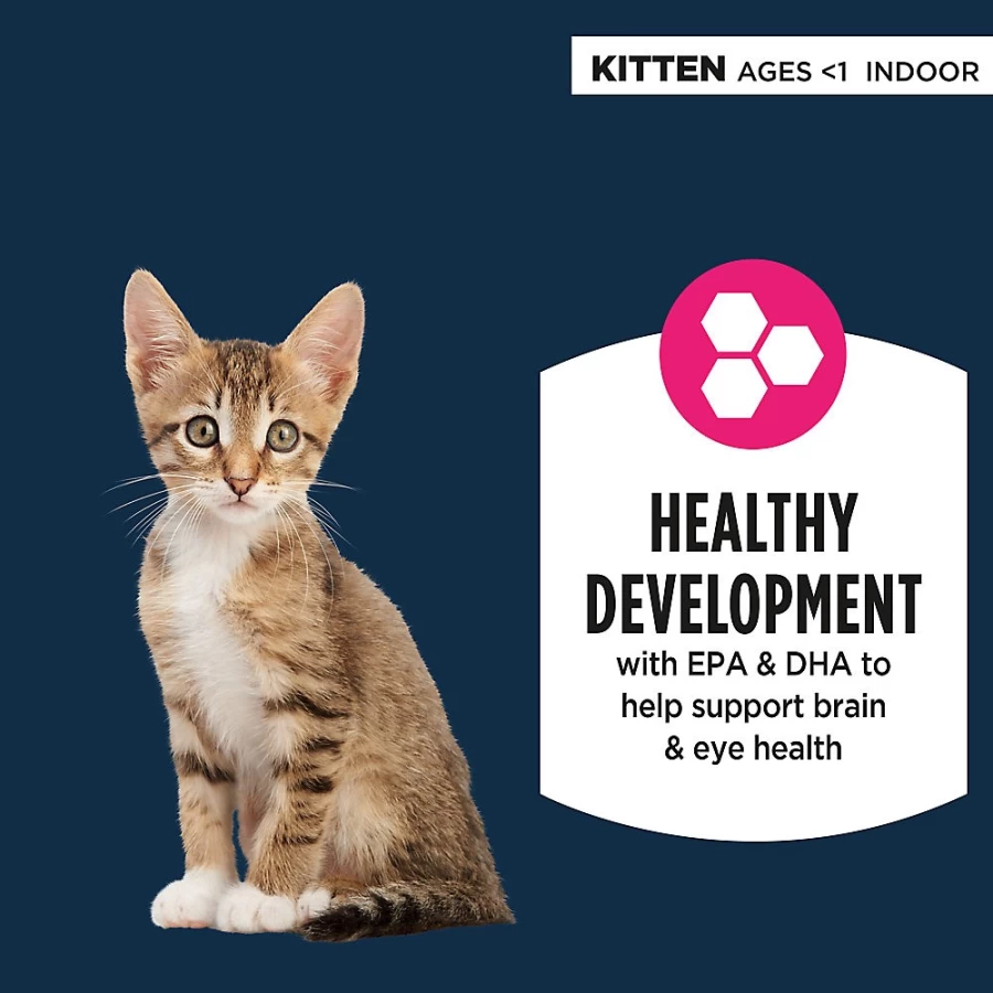 PetSmart Authority Everyday Health Indoor Kitten Dry Cat Food with Salmon & Rice - Grain-Included Formula for Optimal Growth