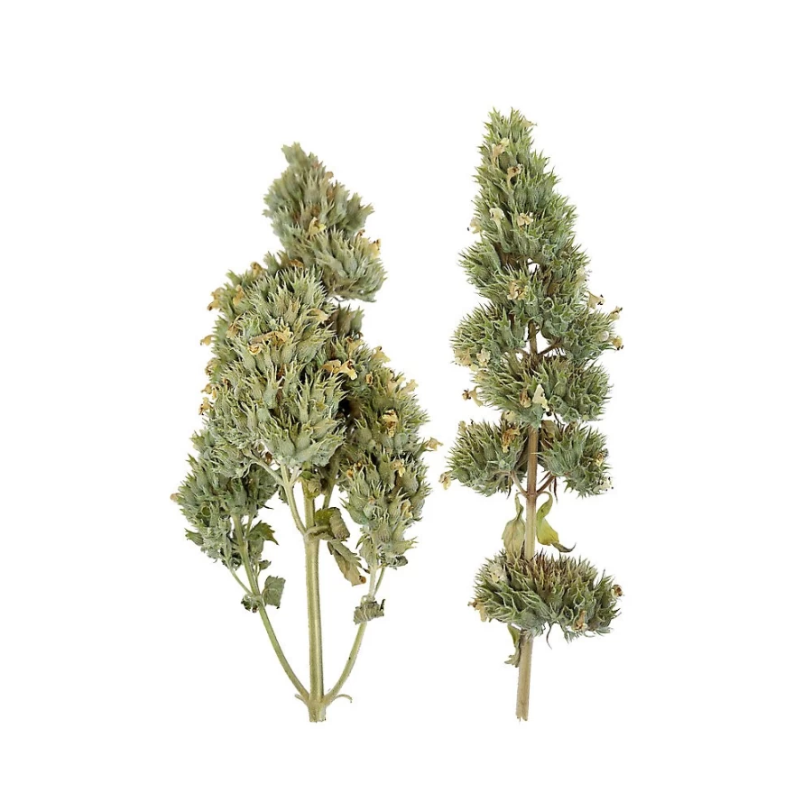 "PetSmart Meowijuana Catnip Jar - Natural Catnip Buds for Cats"