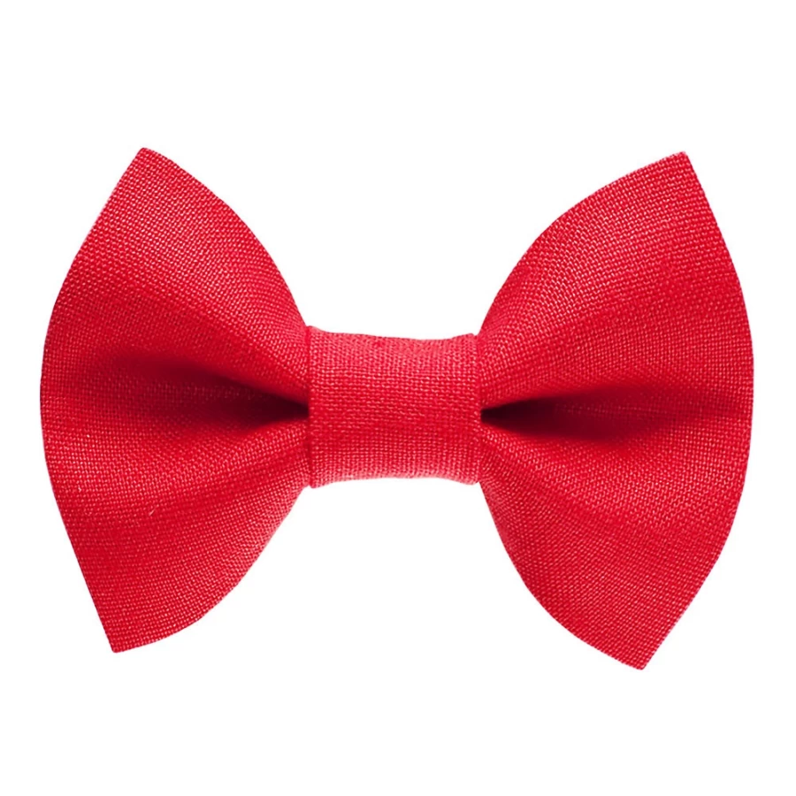 "PetSmart The Boss is In Cat Bow Tie - Sweet Pickles Style Pet Accessory"