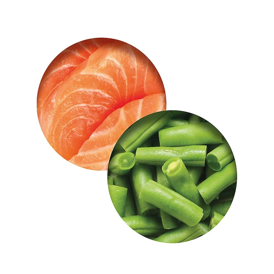 PetSmart Catit Fish Dinner Adult Cat Food - Low Fat Salmon & Green Beans in Gravy for Healthy Cats