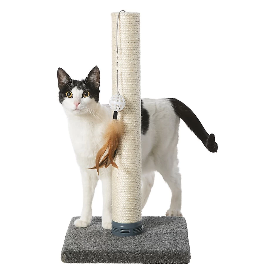 PetSmart Whisker City Cat Scratching Post with Catnip - Durable Sisal for Indoor Cats