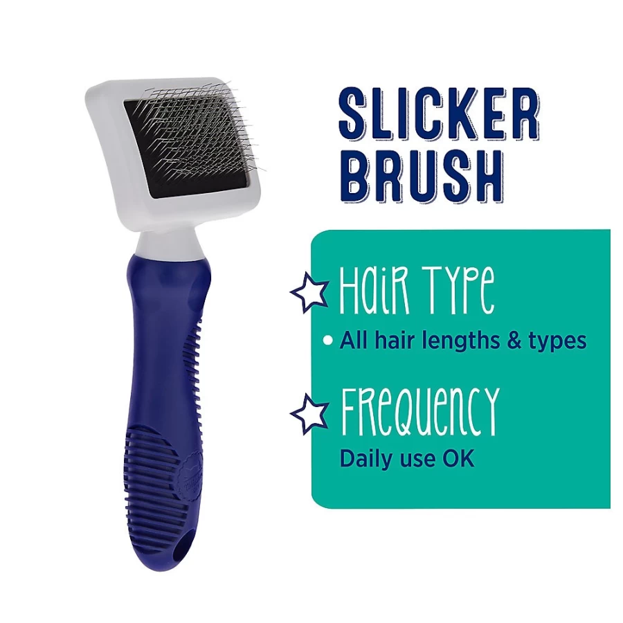 PetSmart Whisker City Slicker Cat Brush - Gentle Grooming Tool for Cats