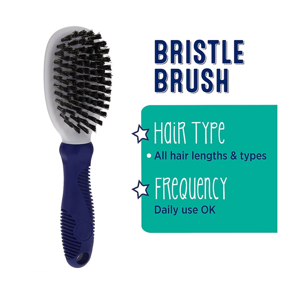 PetSmart Whisker City Bristle Cat Brush for Gentle Grooming & Hair Control