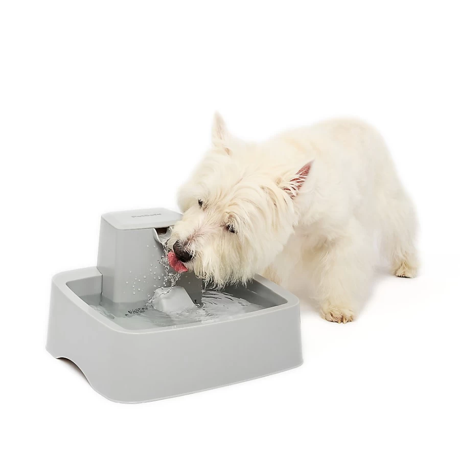 PetSmart Drinkwell Pet Fountain - Automatic Water Dispenser for Cats & Dogs by PetSafe