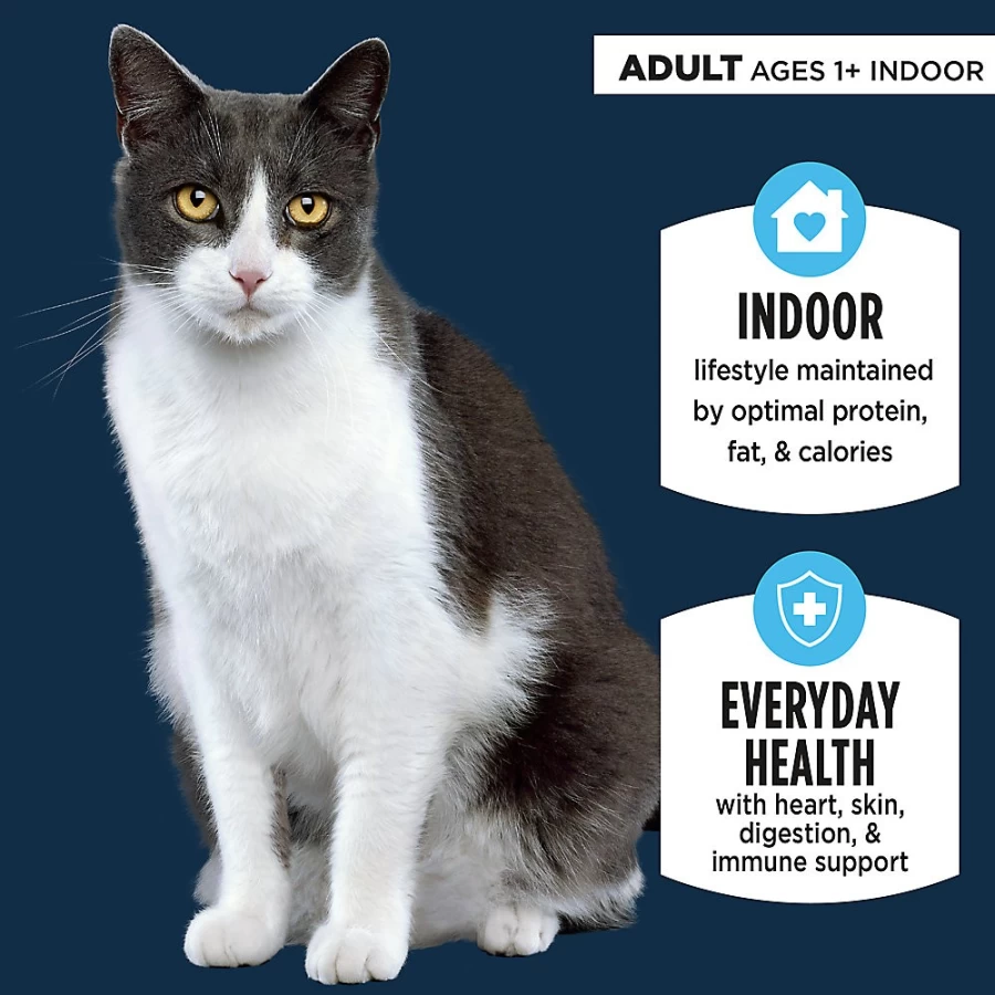 PetSmart Authority Everyday Health Indoor Cat Wet Food Pate - 5.5 Oz, With Grains for Balanced Nutrition
