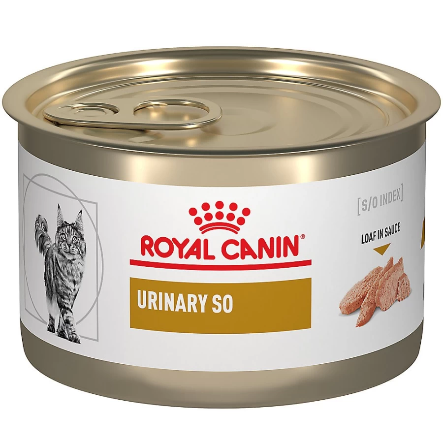 "Royal Canin Urinary SO Wet Cat Food for Urinary Health – 5.1 oz Canned Gel (Pack of X) | PetSmart"