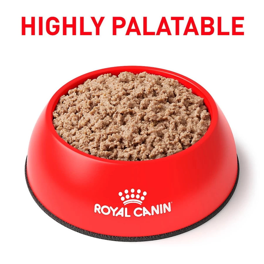 "Royal Canin Veterinary Diet Adult Cat Food - Satiety Support Weight Management Loaf in Sauce Canned Wet Food | PetSmart"