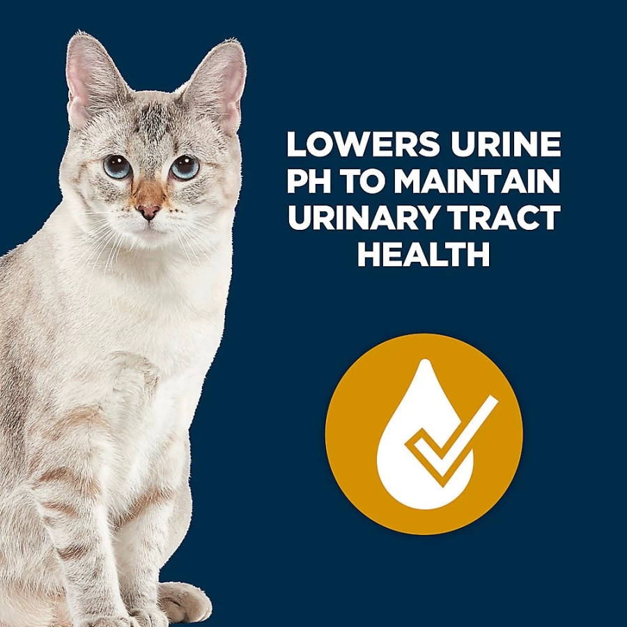 PetSmart Urinary Tract Health Wet Cat Food - 3oz Pate with Grains for Optimal Feline Care