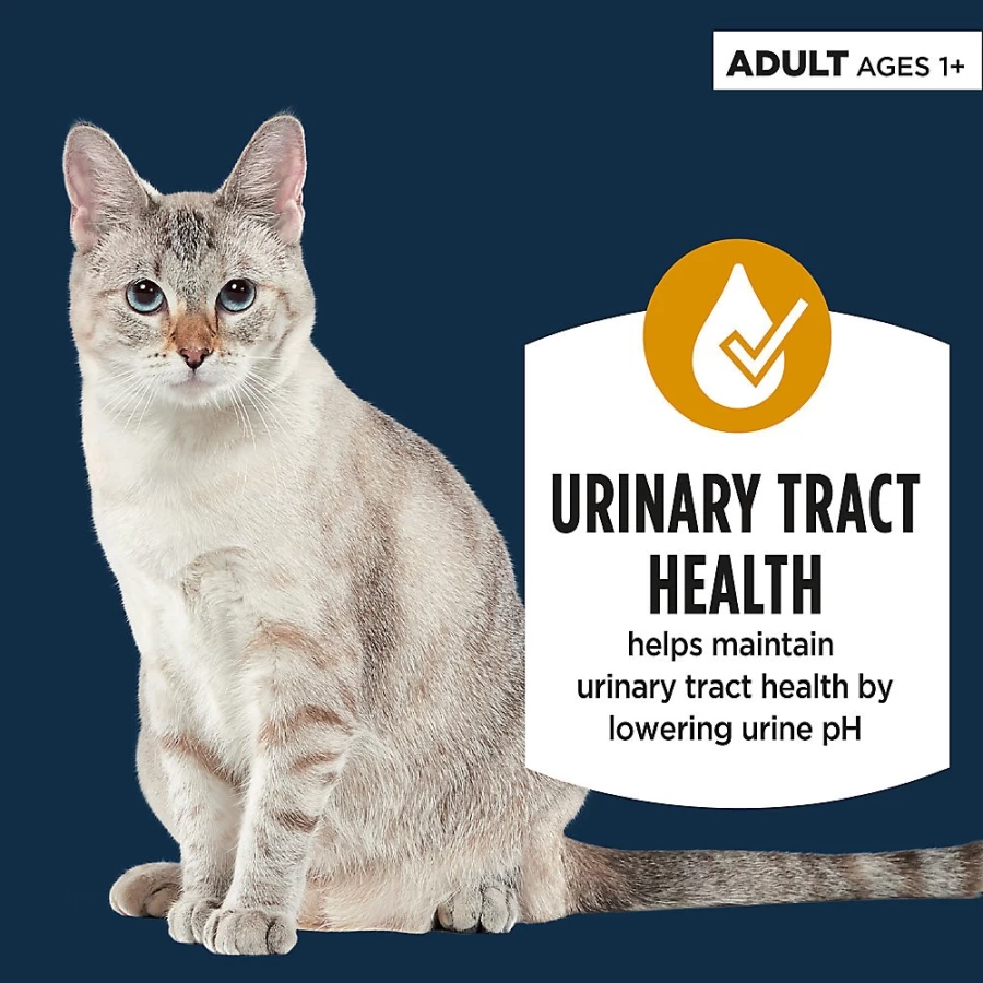 PetSmart Authority Urinary Tract Health Cat Wet Food Pate - 3 Oz, Supports Urinary Health, Veterinarian Recommended