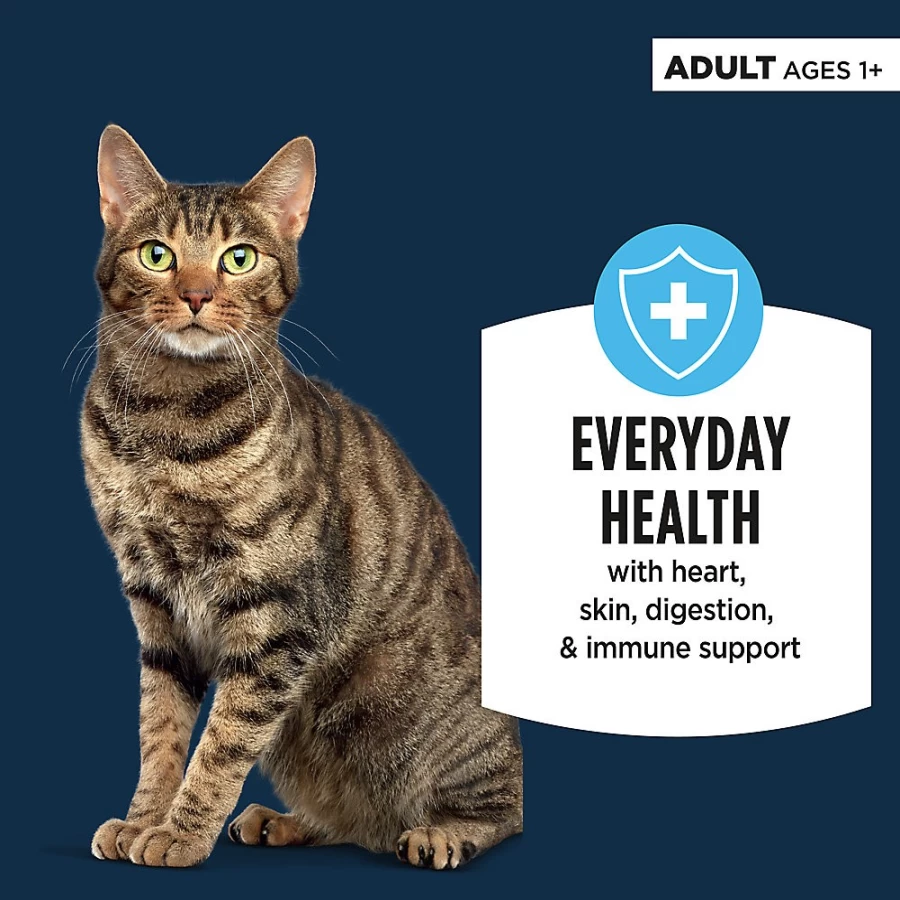 PetSmart Authority Everyday Health Cat Wet Food - 66oz, Flaked in Gravy, With-Grain Recipe for Adult Cats