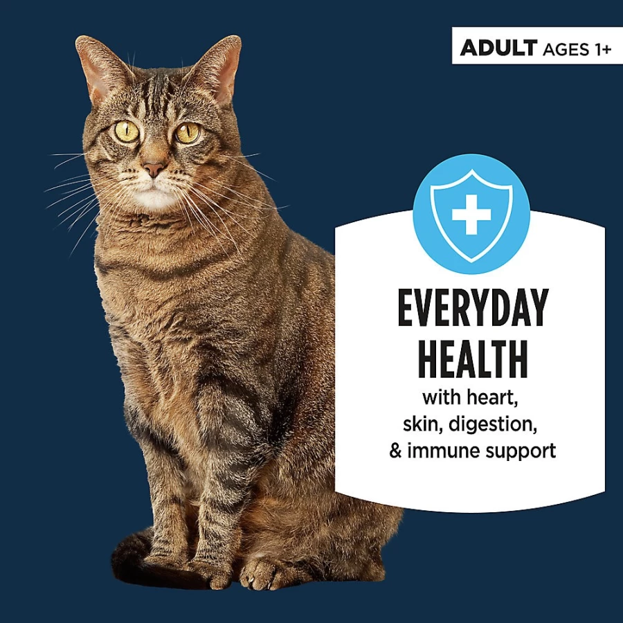 PetSmart Authority Everyday Health Cat Wet Food - 3 Oz, Flaked in Gravy, With-Grain Recipe for Adult Cats