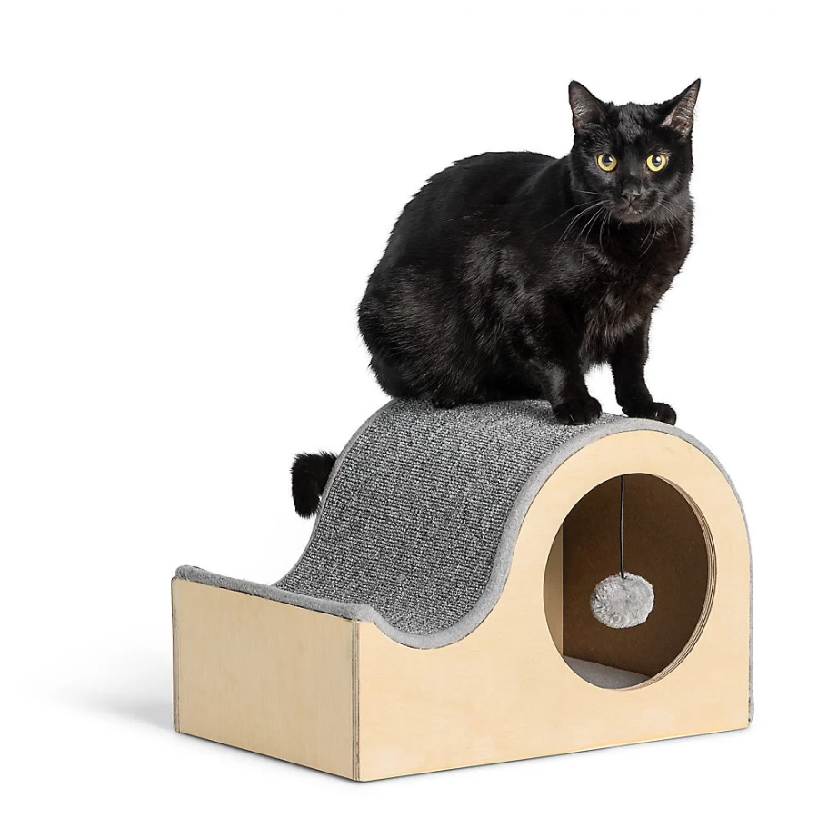 PetSmart Whisker City Modern Curved Cat Scratcher with Hanging Toy for Indoor Cats