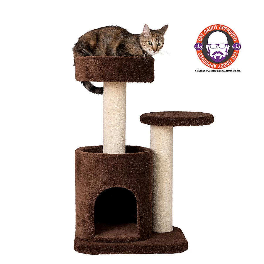 PetSmart Armarkat 30-inch Coffee Brown Cat Tree with Real Wood and Premium Carpet for Condos
