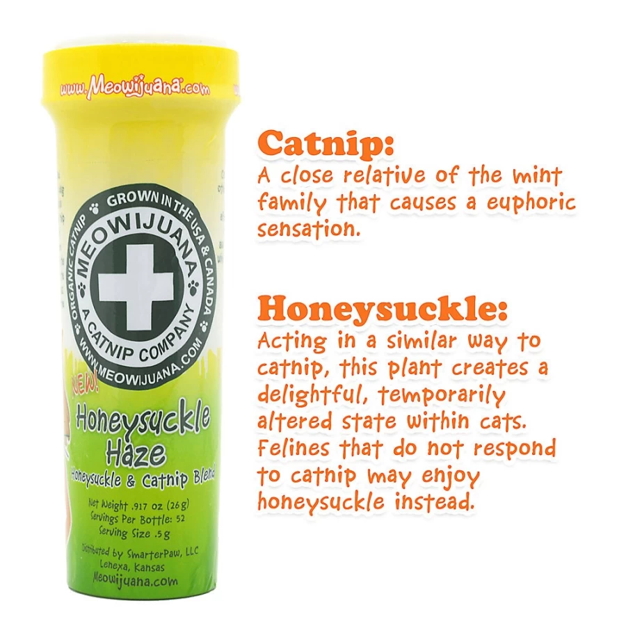 PetSmart Meowijuana Honeysuckle Haze Catnip for Cats - Natural Cat Attractant