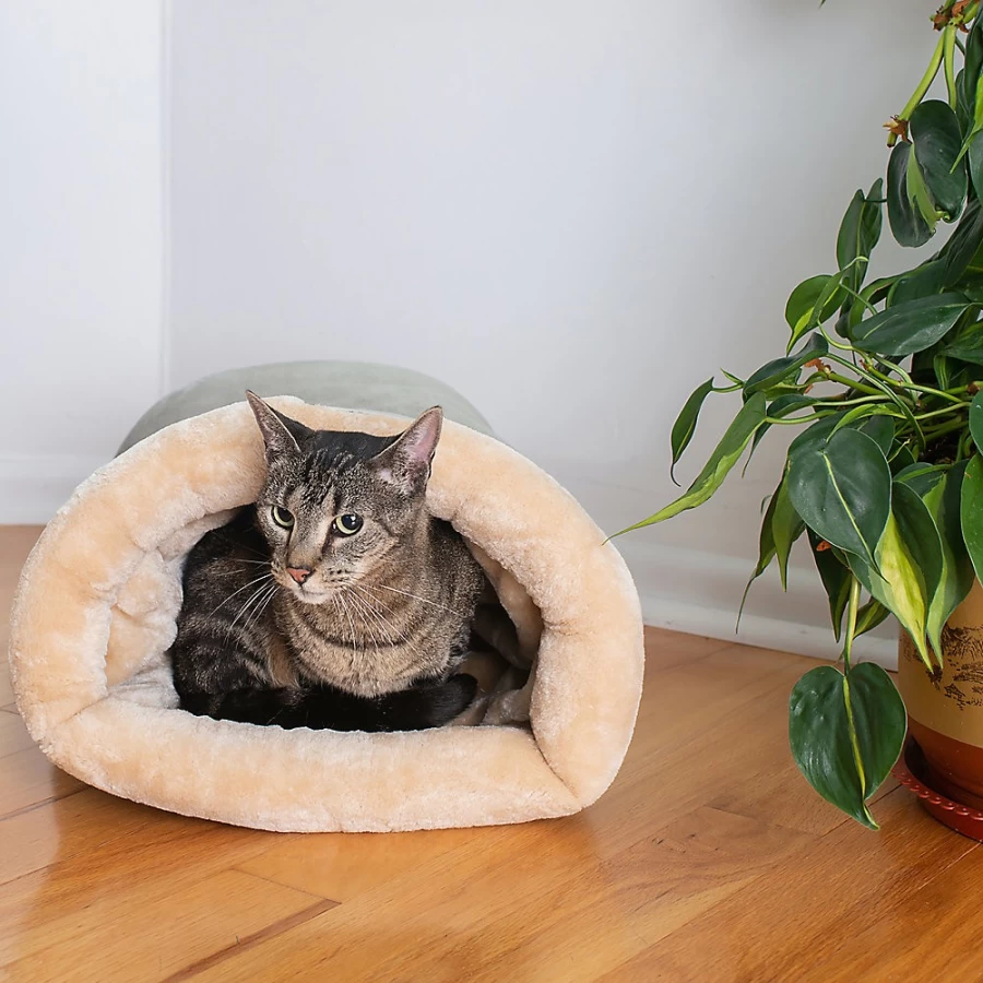 PetSmart Armarkat Sage Green Faux Suede Cat Bed - Cozy Warm Sleeping Cave for Cats