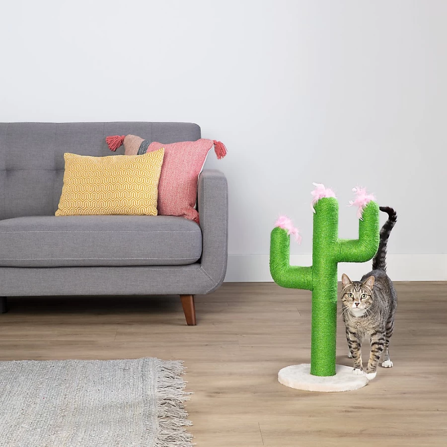 PetSmart Whisker City 26-inch Green Cactus Cat Scratcher - Durable Cat Scratching Post for Indoor Cats