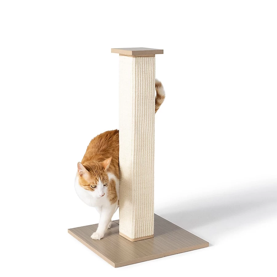PetSmart Whisker City White Sisal Cat Scratching Post for Indoor Cats