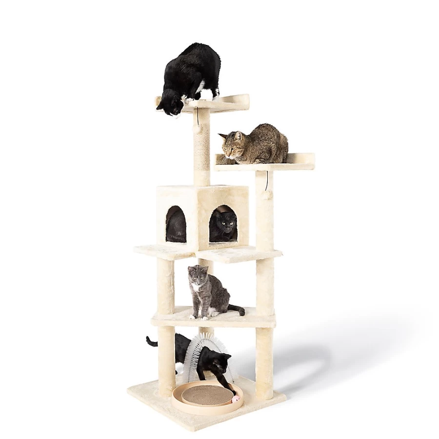 PetSmart Whisker City 60-inch Cat Playbox with Ball Track & Scratcher - Interactive Cat Tree for Climbing & Play