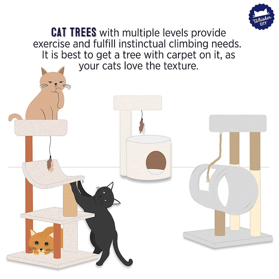 PetSmart Whisker City 60-inch Cat Playbox with Ball Track & Scratcher - Interactive Cat Tree for Climbing & Play