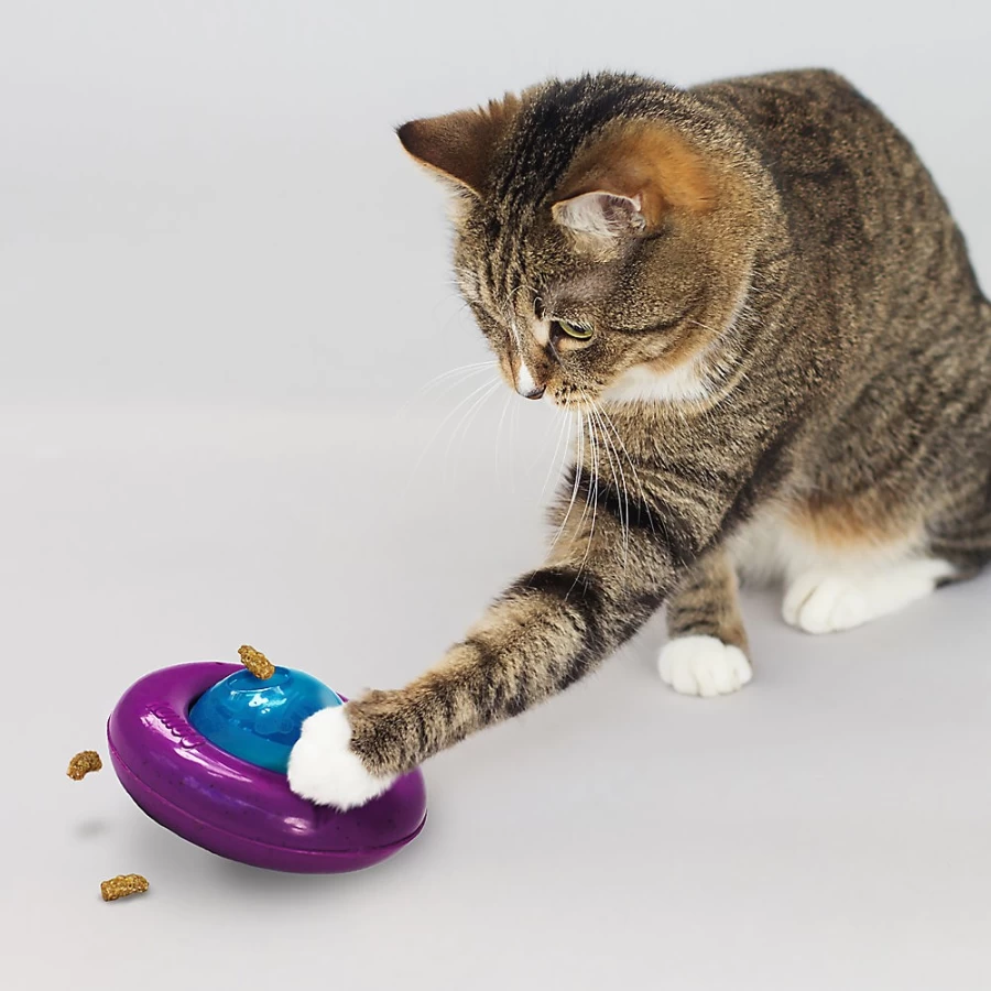 PetSmart KONG Cat Gyro Interactive Treat Dispenser Toy for Cats