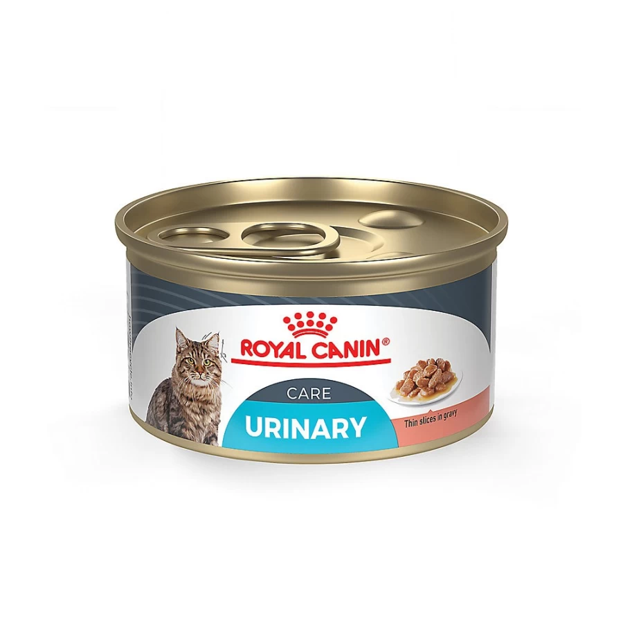 PetSmart Royal Canin Feline Urinary Care Wet Cat Food - 3 oz Gravy Thin Slices Canned Food for Urinary Health