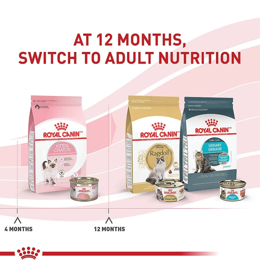 Royal Canin Feline Health Nutrition Loaf in Sauce Wet Kitten Food for Cats - 5.1 oz Can | PetSmart