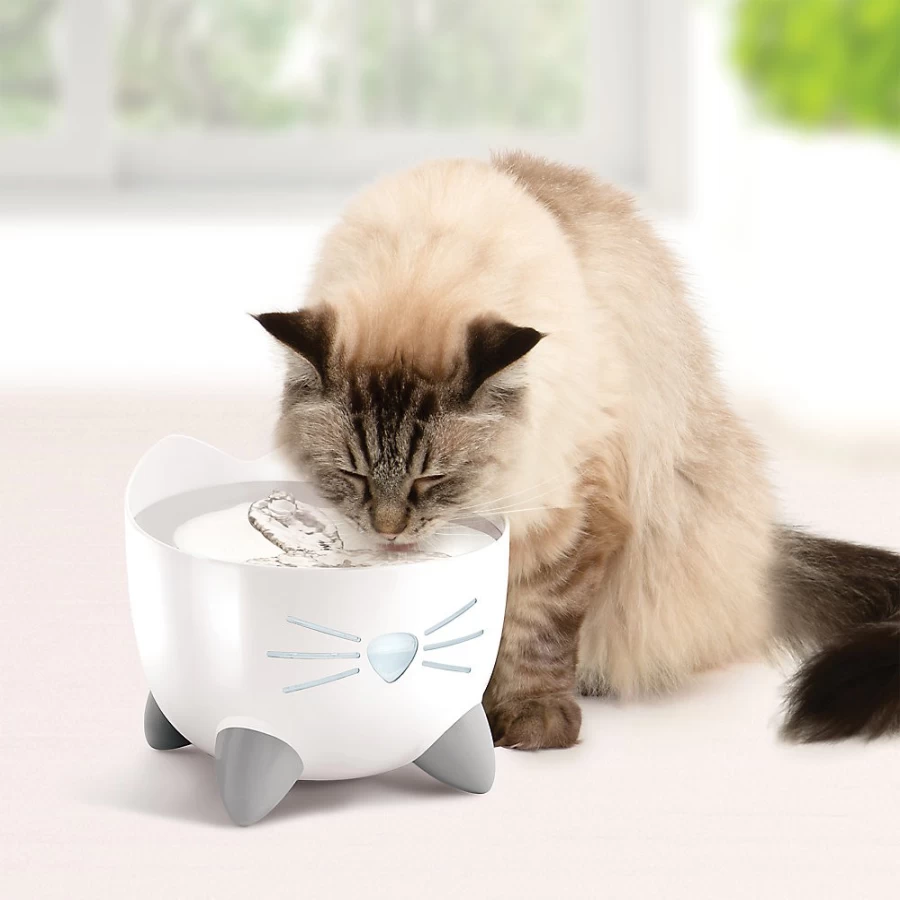 PetSmart Catit PIXI Stainless Steel Cat Water Fountain - Automatic Pet Drinking Fountain for Cats