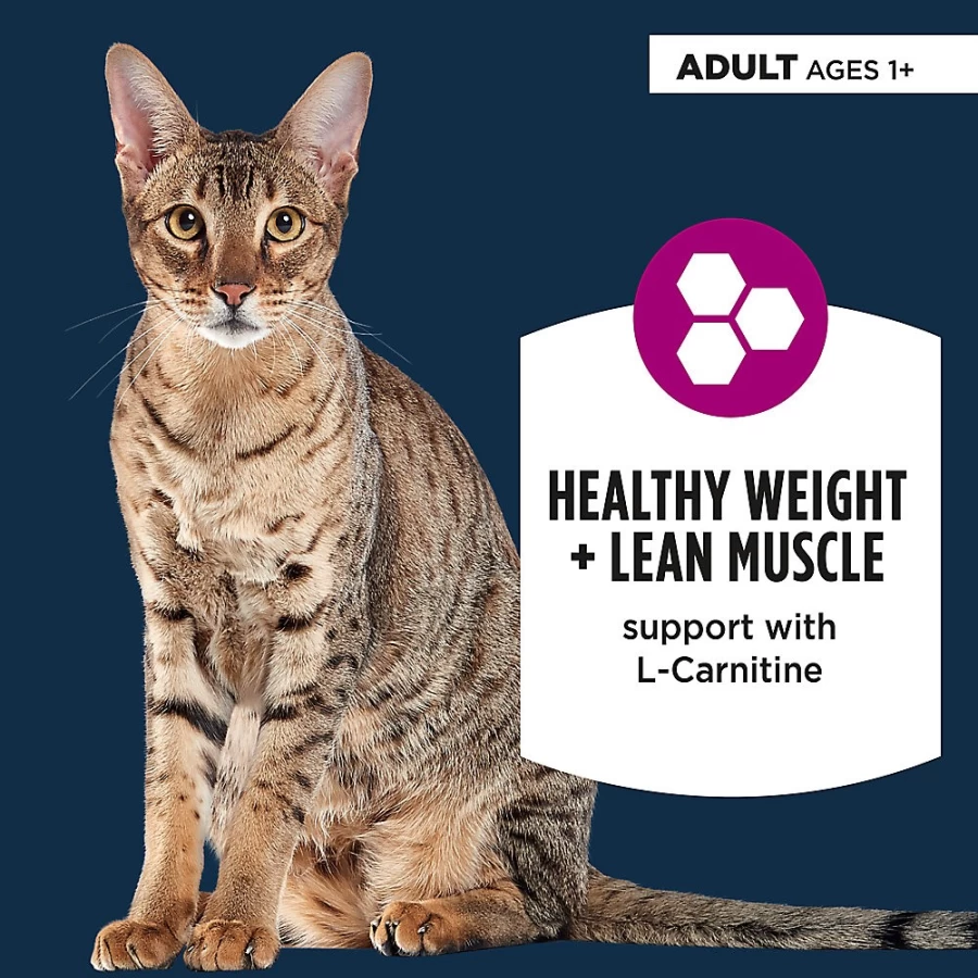 PetSmart Authority Weight Control Cat Wet Food Pate - 3 Oz, With Grains for Healthy Weight Management
