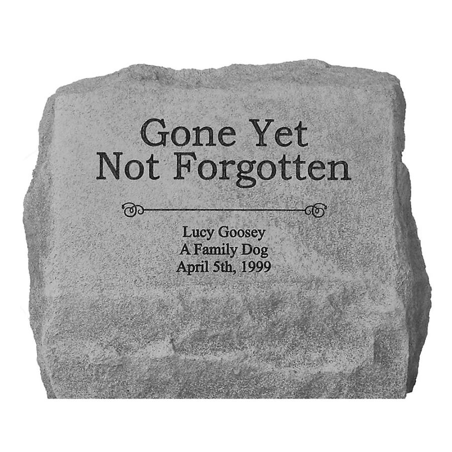 "Personalized Kay Berry Pet Memorial Urn for Dogs & Cats - Custom Engraved Pet Ashes Keepsake by PetSmart"
