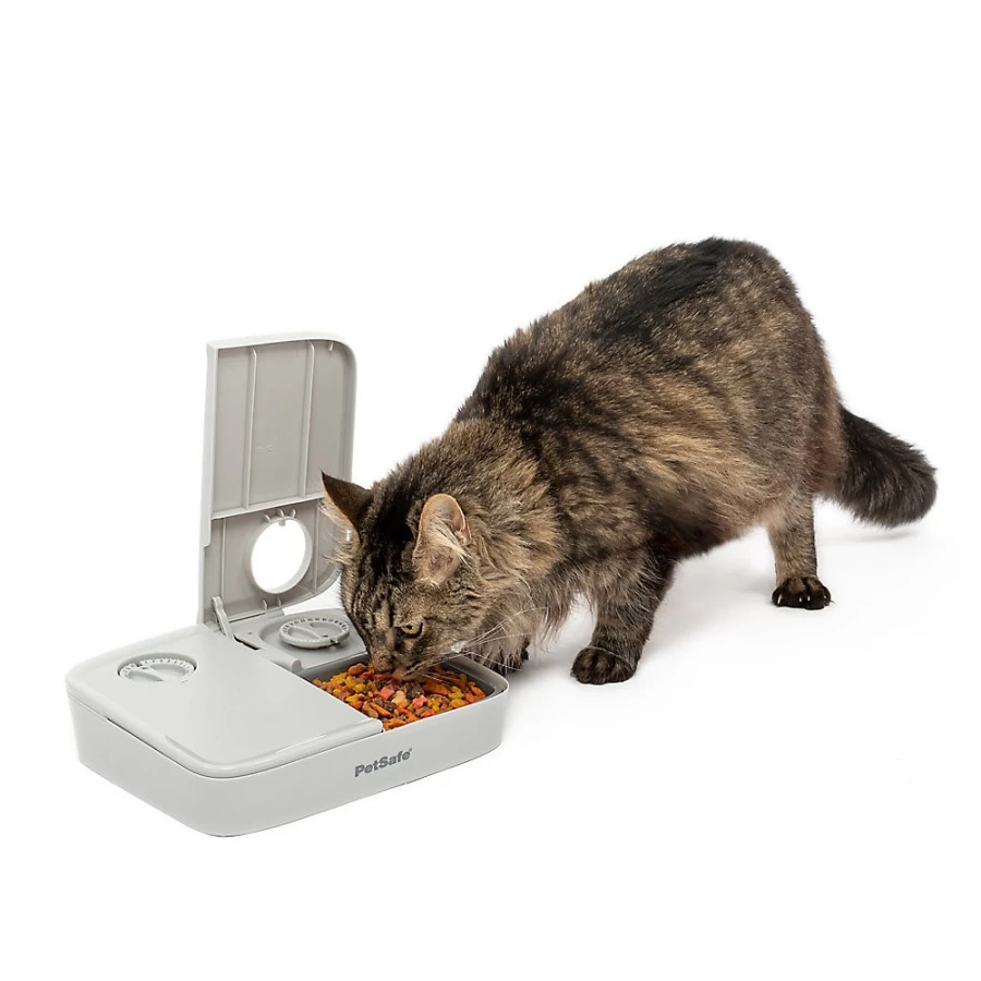 PetSmart Automatic 2-Meal Pet Feeder - Programmable Dog & Cat Food Dispenser