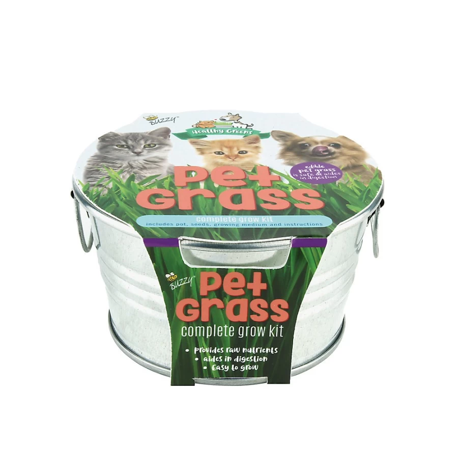 PetSmart Buzzy Pet Grass Complete Cat Grass Grow Kit for Indoor Cats - Fresh Wheatgrass Planter Set with Soil, Tray & Seeds for Healthy Digestion