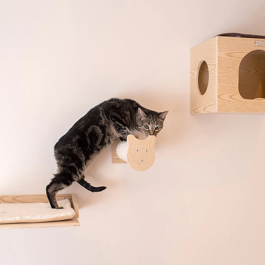 PetSmart Armarkat Wall-Mounted Natural Wood Cat Climbing Shelf - 3-Tier Cat Steps for Condos