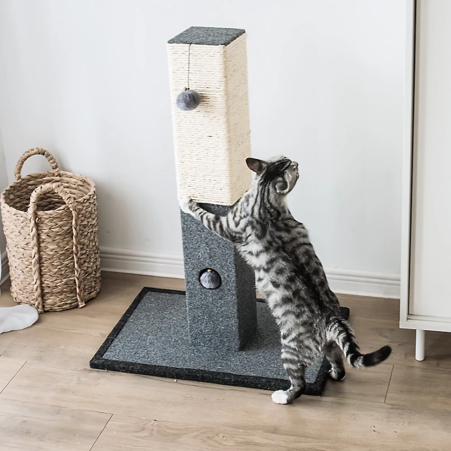 PetSmart Catry Natural Sisal Rope Cat Scratching Post for Indoor Cats, Durable Grey-Beige Cat Tower with Sisal Fiber, Sturdy Base for Climbing & Scratching