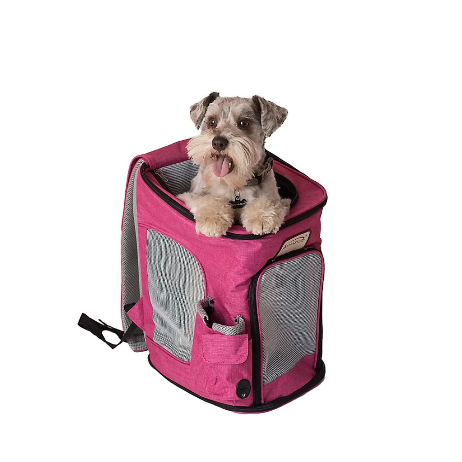 PetSmart Arkmarkat Dog & Cat Backpack Carrier – Durable & Comfortable Pet Travel Backpack for Small Animals