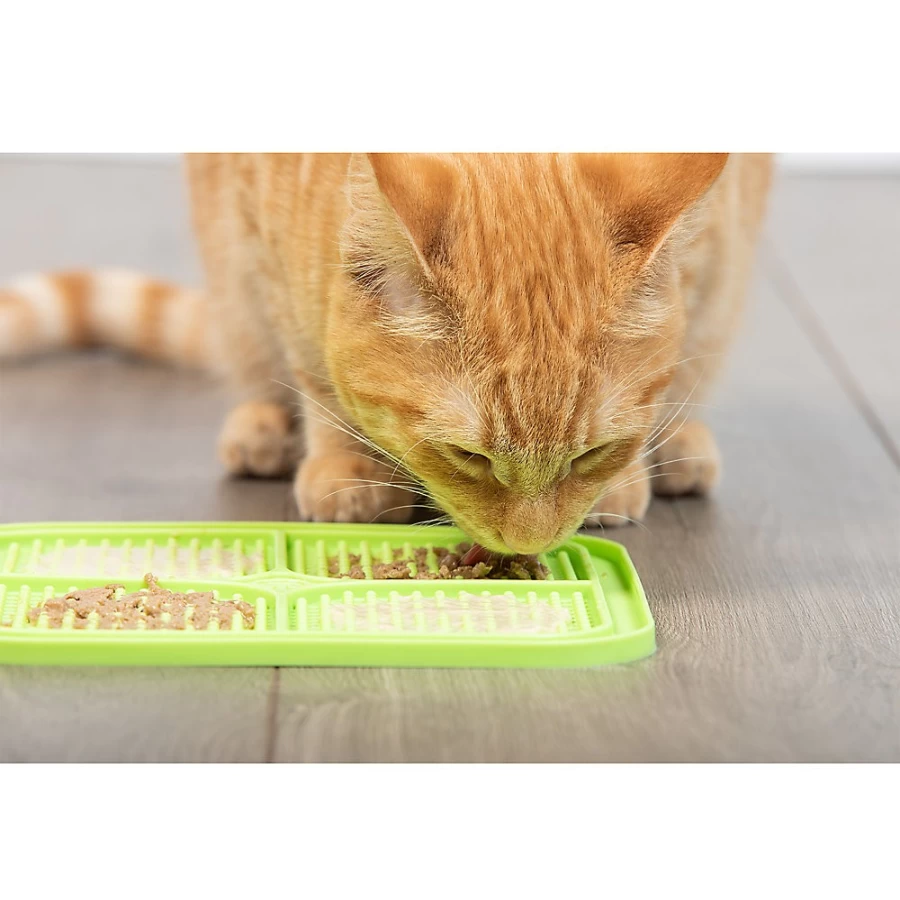 PetSmart Slow Feeder Licking Mat - Boredom Buster for Dogs & Cats, Relaxing Treat Dispenser