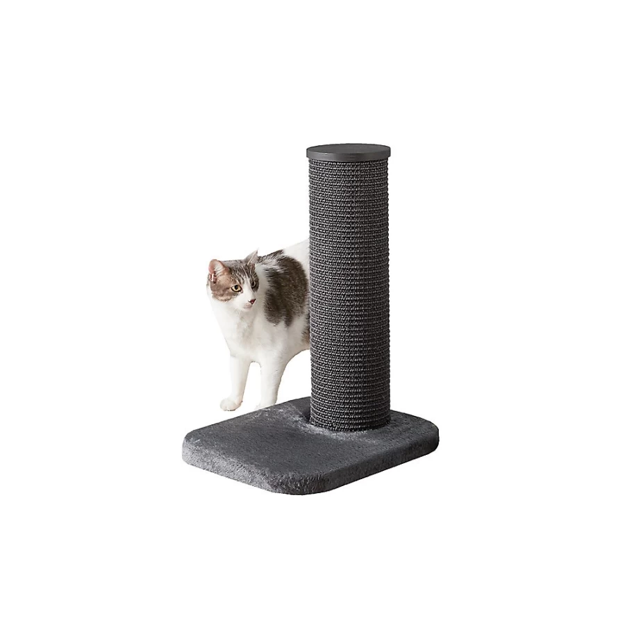 PetSmart Two By Two 24-inch Grey Deluxe European Cat Scratching Post for Indoor Cats