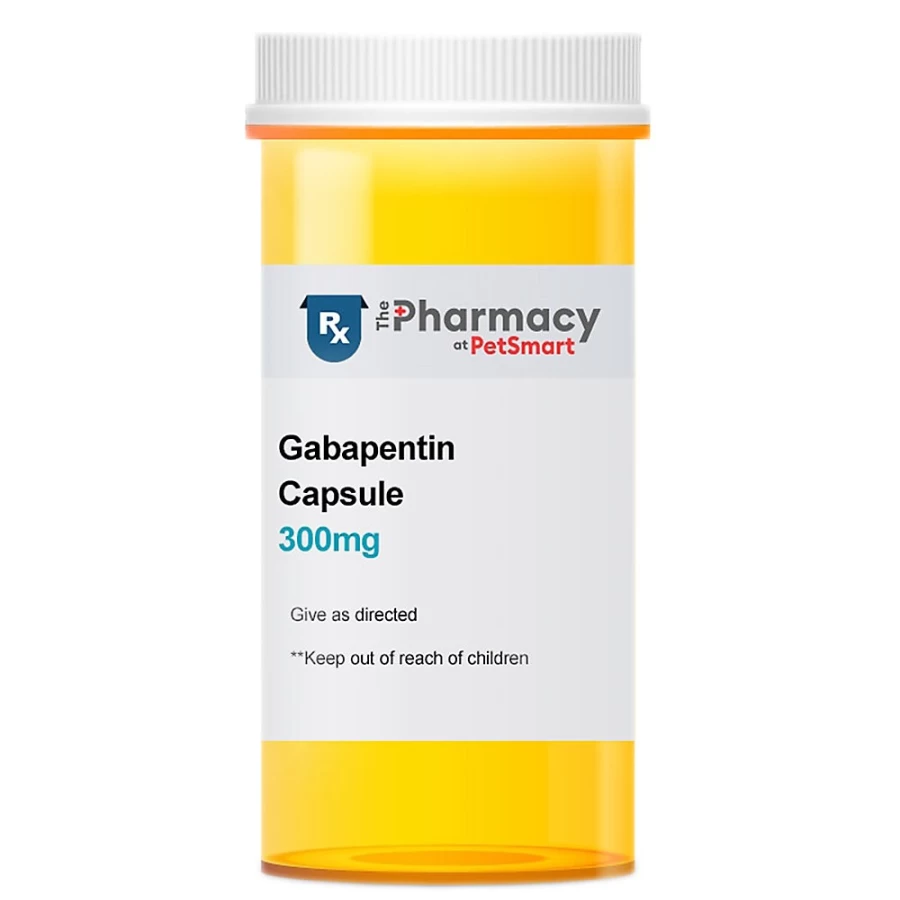 PetSmart Gabapentin Capsules for Pets - 100mg, 300mg, 400mg Dosage Options