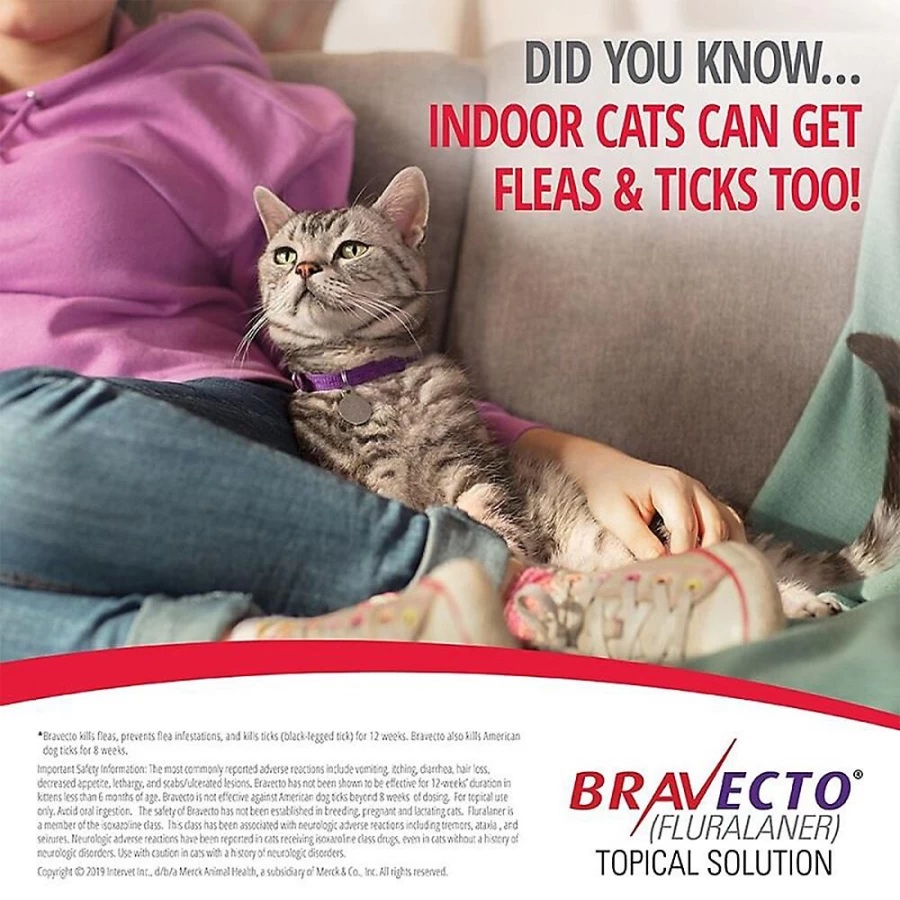 Bravecto Topical Solution for Cats 2.6-6.2 lbs (112.5 mg) - Flea & Tick Treatment for Cats | PetSmart