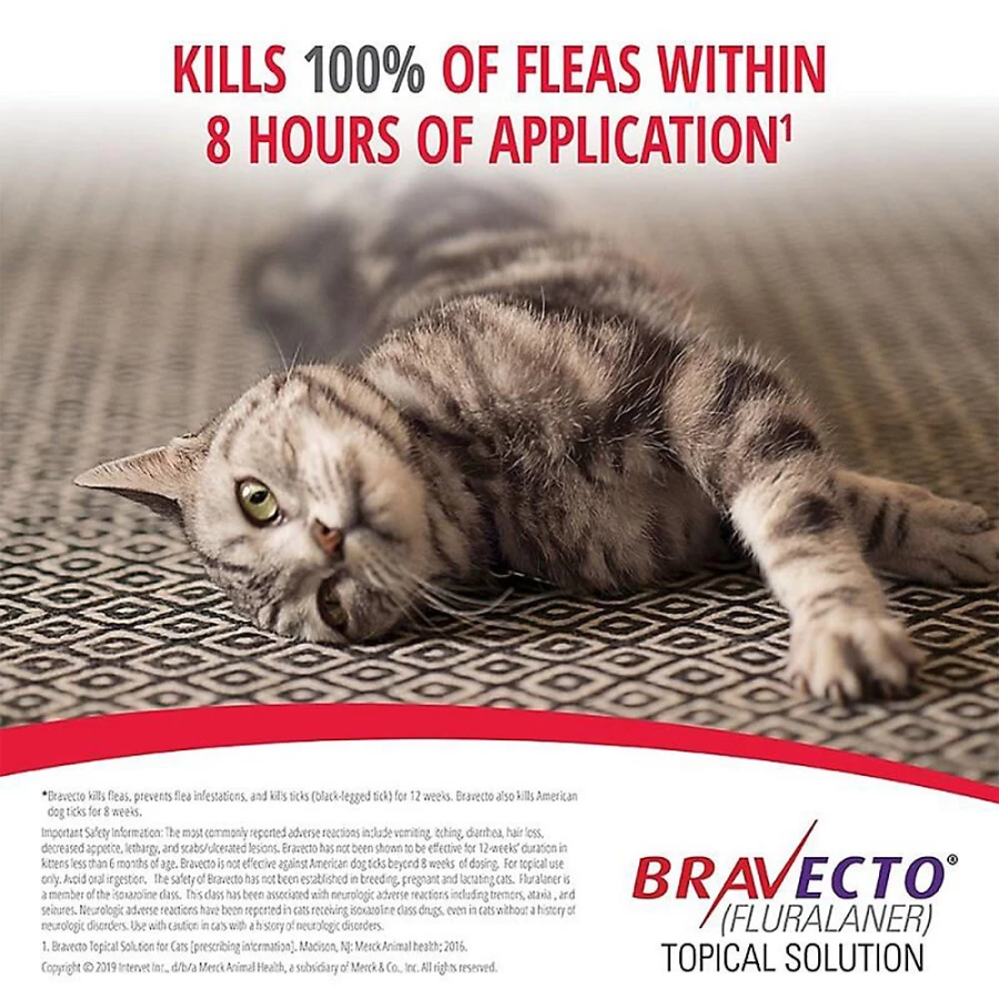 PetSmart Bravecto Topical Solution for Cats 6.2-13.8 lbs, 250 mg Flea & Tick Treatment – Blue