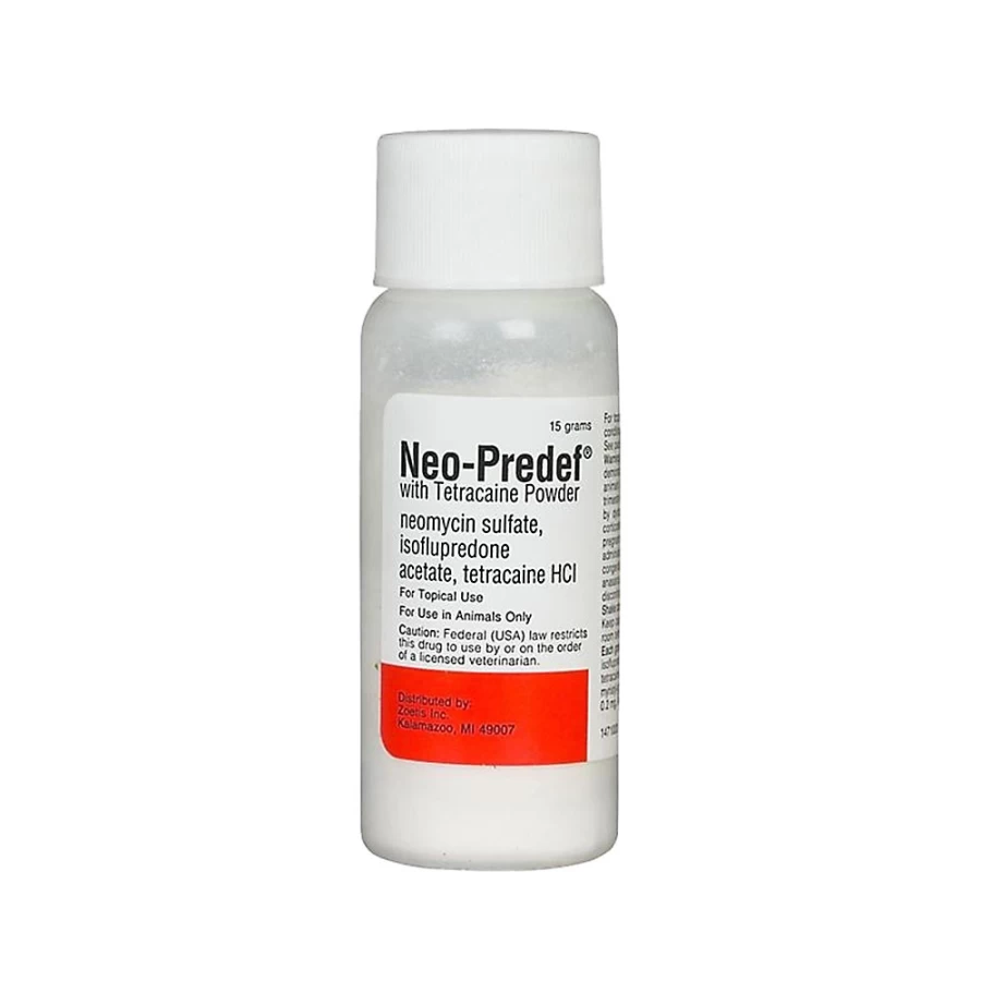 PetSmart Neo-Predef with Tetracaine Topical Powder for Dogs & Cats – 15gm Antibacterial & Pain Relief Wound Treatment