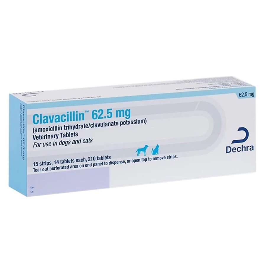 PetSmart Clavacillin for Dogs & Cats - Amoxicillin & Clavulanate Potassium Antibiotic Tablet